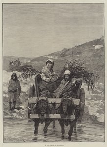在Roumelia的平原